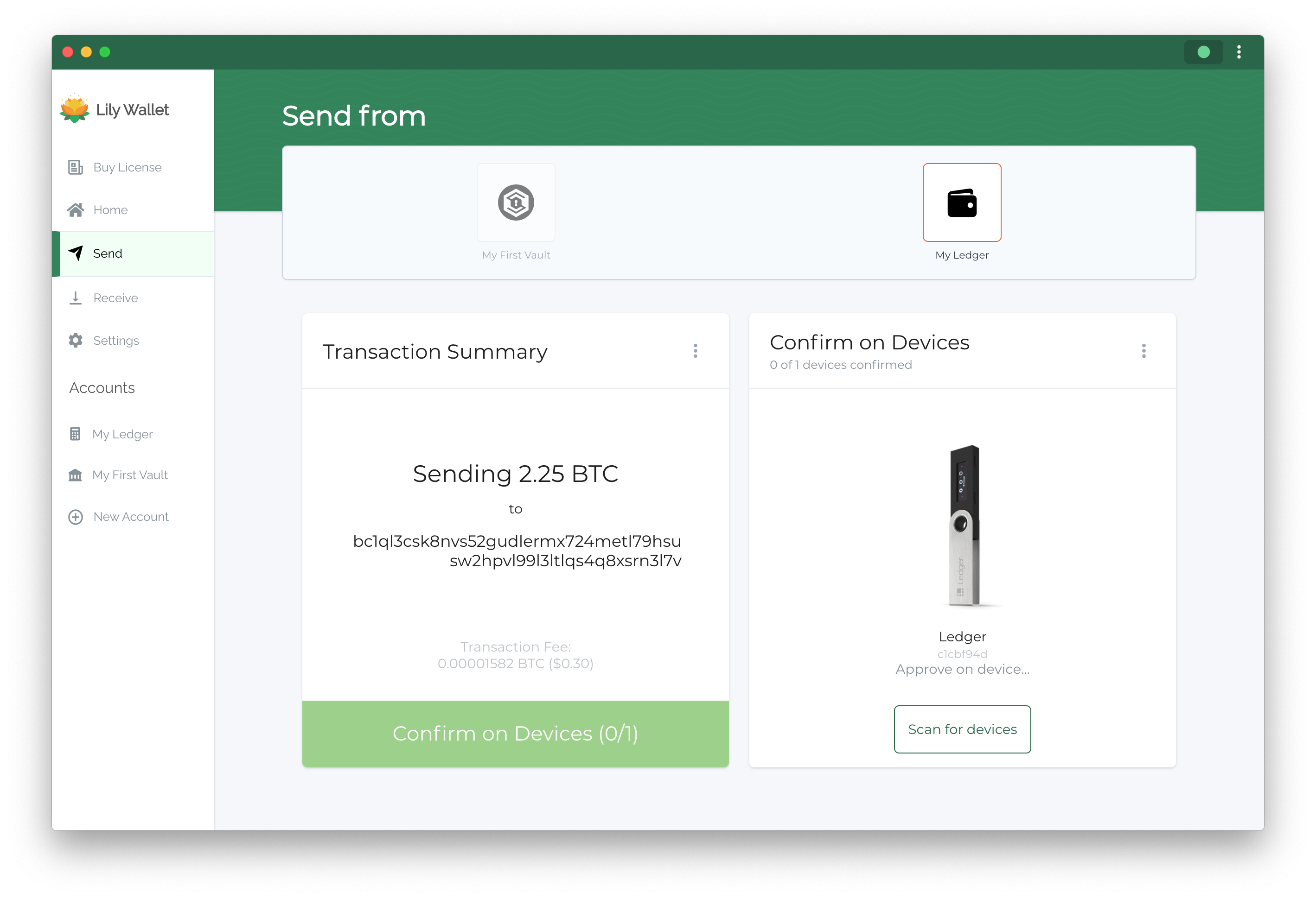 Verify address and amount information