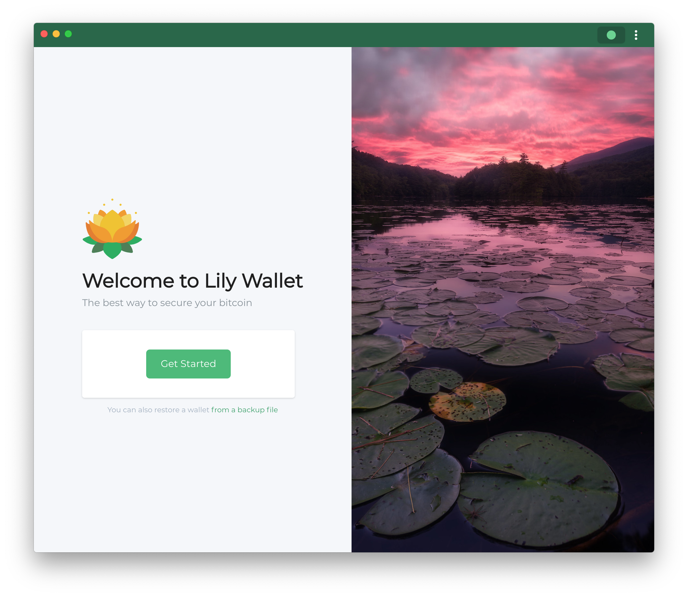 Get started with Lily Wallet