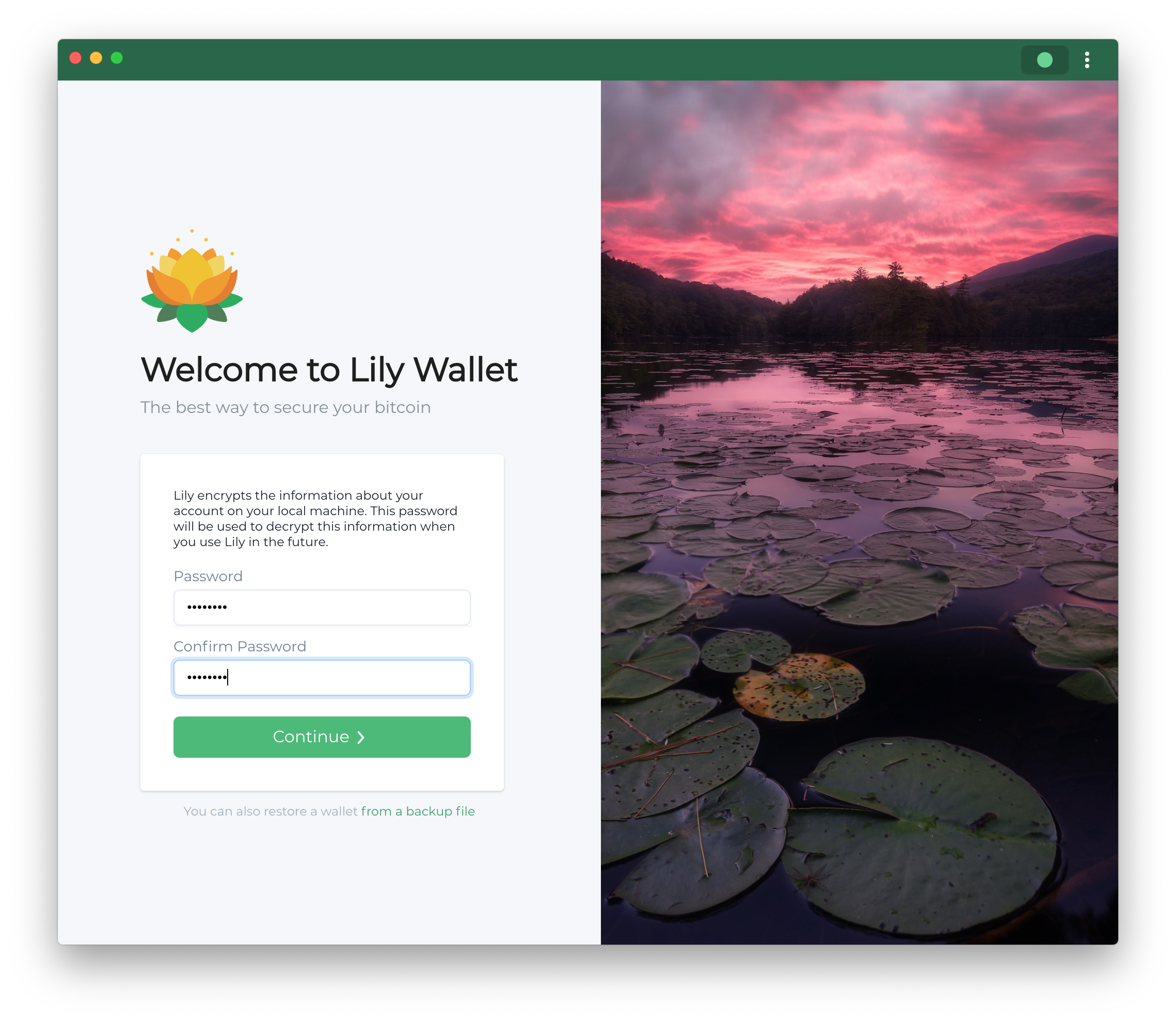 Create password for Lily Wallet